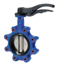 Tapper & Lugged Butterfly Valve