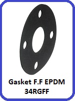 EPDM FULL FACE GASKET 34PNP020