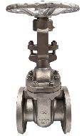 Stainless Steel A351 Gate Valve