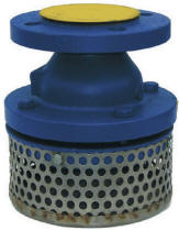 Foot Valve& Strainer