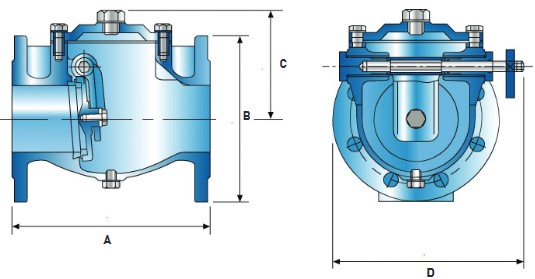 Non Return Valve - Check Valve